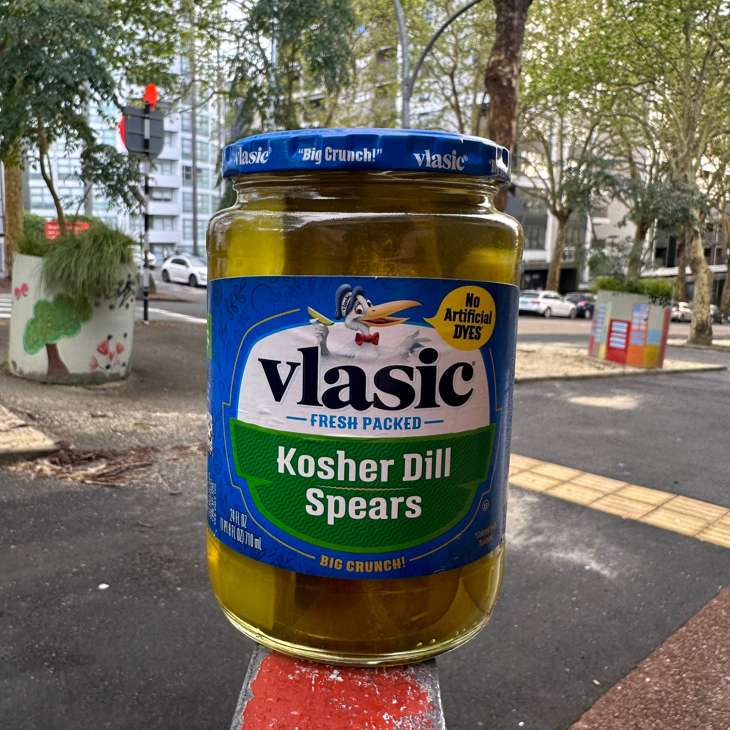 VLASIC KOSHER DILL SPEARS 710M